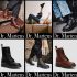 Giày Alexander McQueen 2022 – Những mẫu giày nam mới nhất
